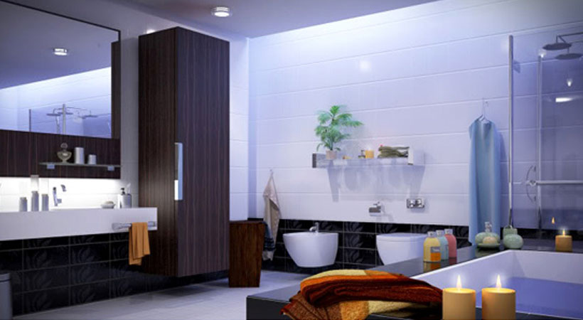 Bathroom-Renovation-Toronto-Place-natural-colored-cabinets-and-furniture