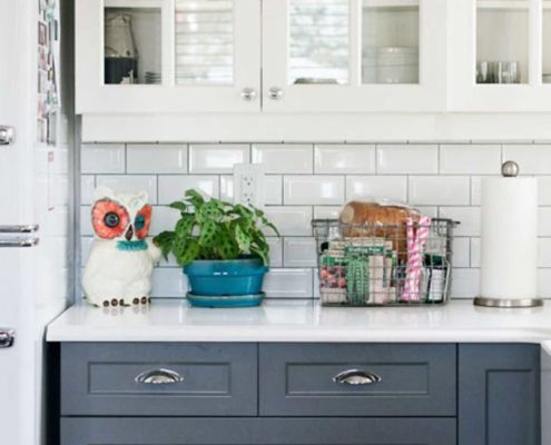 Kitchen Renovation Toronto-designsponge